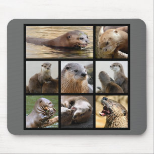 Mosaic photos of otters mouse pad