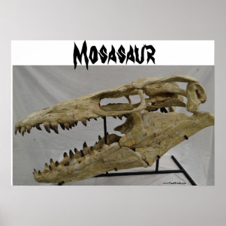 Mosasaur Poster