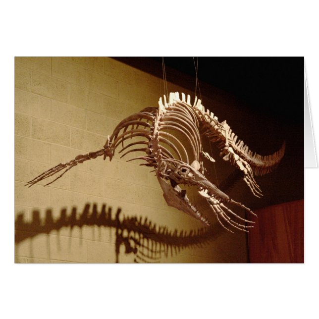 Mosasaur - "Sea Lizard" (Front Horizontal)