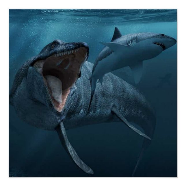 Mosasaurus chasing shark poster (Front)