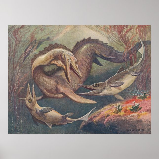 Mosasaurus Ichthyosaurus Antique Print (Front)
