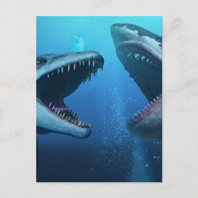 Mosasaurus versus megalodon postcard (Front)