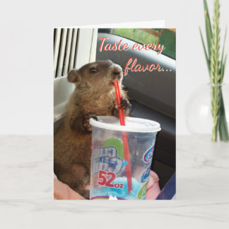 Moses and Maude Birthday Card