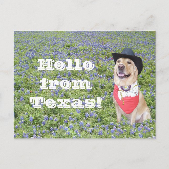 Moses in Bluebonnets Postcard (Front)