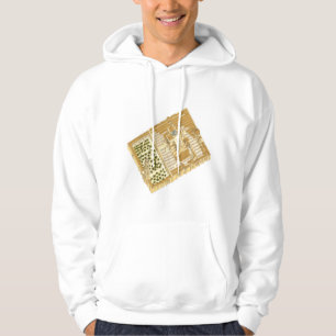 Mosque of Cordoba Spain. Aerial view Hoodie
