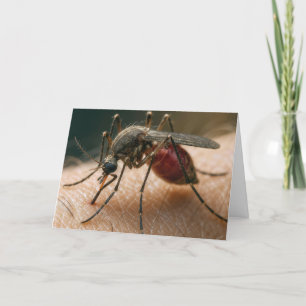 Mosquito Birthday Humour Card