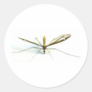 mosquito classic round sticker