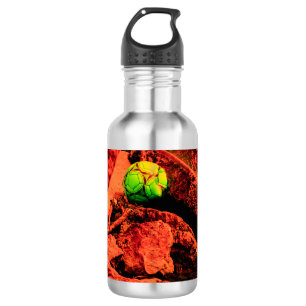 mosquito explorer 532 ml water bottle
