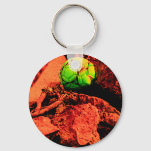 mosquito explorer key ring
