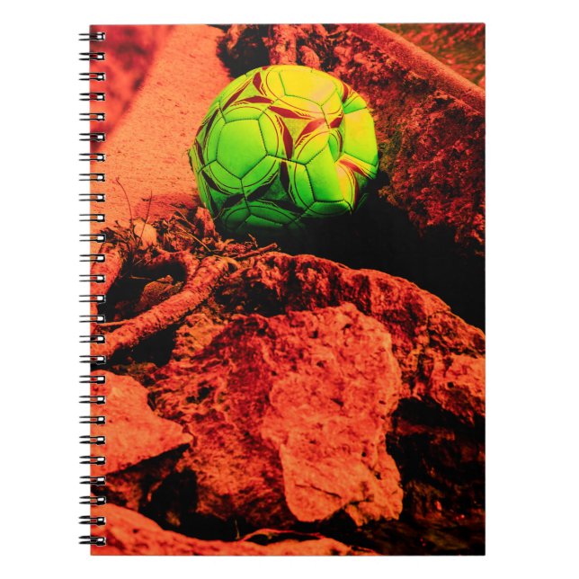 mosquito explorer notebook (Front)