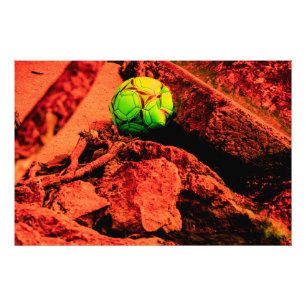 mosquito explorer photo print