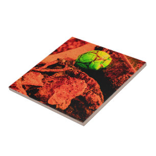 mosquito explorer tile