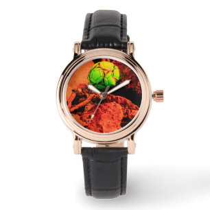 mosquito explorer watch