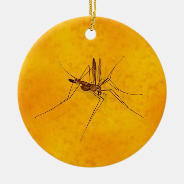 Mosquito in Amber Sap Fossil Replica Prehistoric Ceramic Ornament (Front)