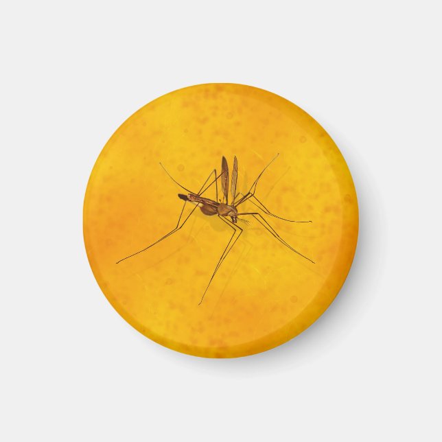 Mosquito in Amber Sap Fossil Replica Prehistoric Magnet (Front)