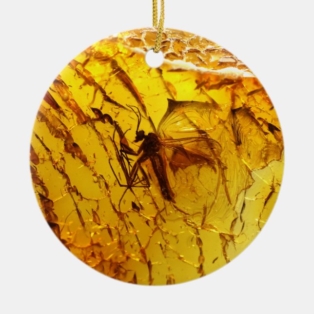 Mosquito inside amber ceramic tree decoration (Front)