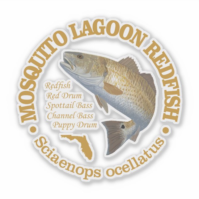 Mosquito Lagoon (redfish) (Front)