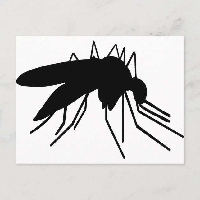 Mosquito Postcard (Front)