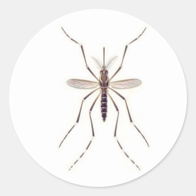 Mosquito  POWER Classic Round Sticker (Front)