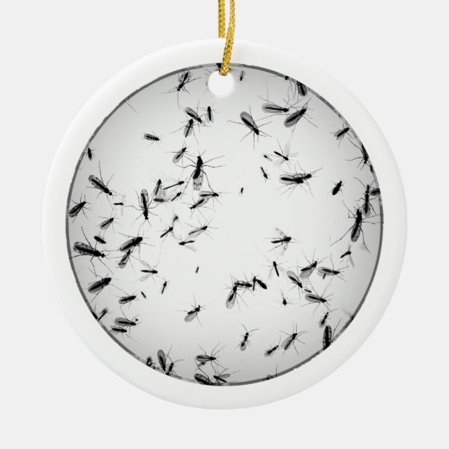 Mosquitos Ceramic Ornament (Front)