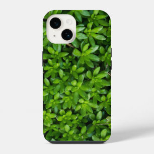 Moss Abstract iPhone Case