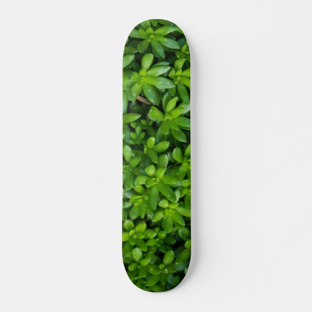 Moss Abstract Skateboard (Front)