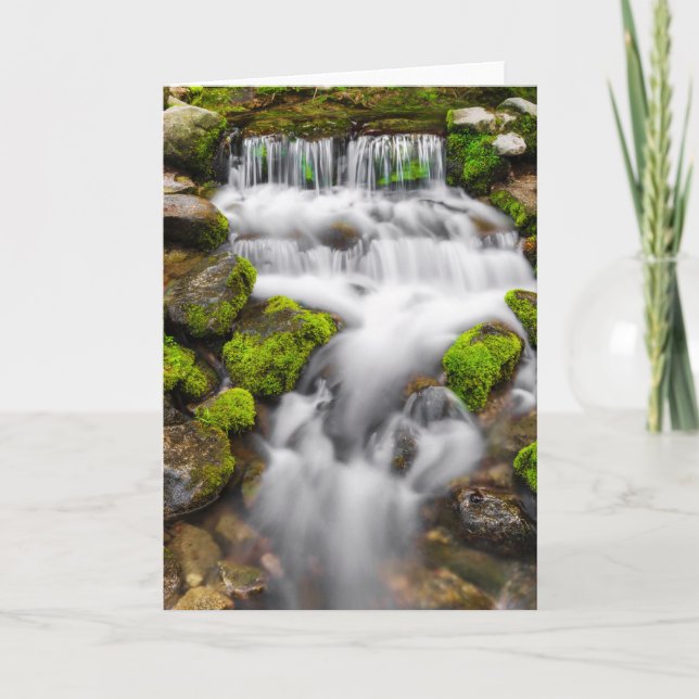 Moss Around Fern Spring Card (Front)