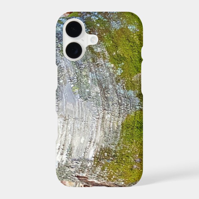 Moss Birch Tree Bark Rustic Country Nature Photo (Back)