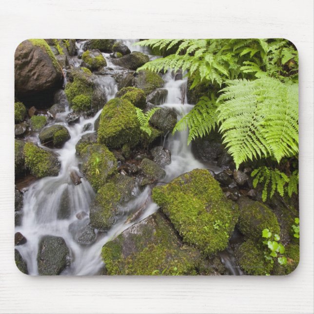Moss covered rocks with blurred water and ferns mouse pad (Front)