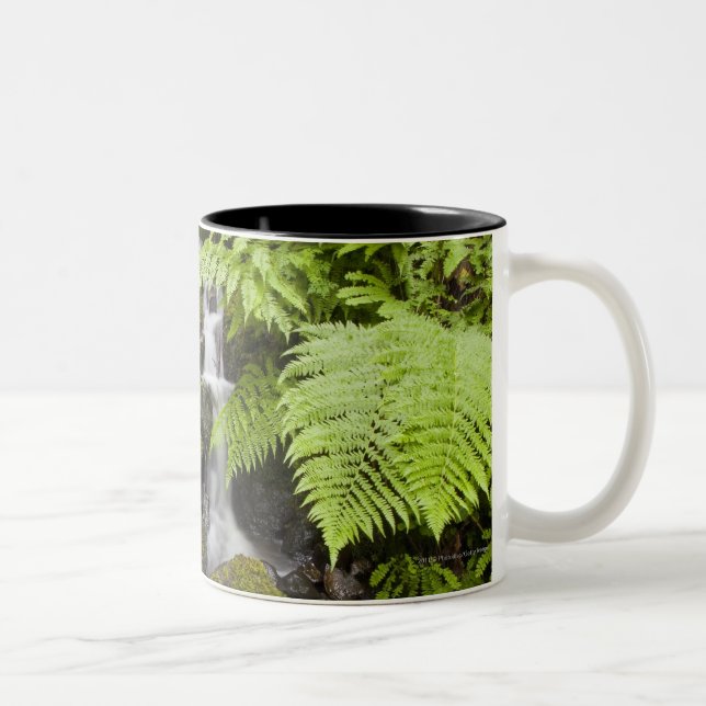 Moss covered rocks with blurred water and ferns Two-Tone coffee mug (Right)