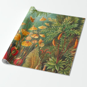 Moss - Ernst Haeckel Wrapping Paper