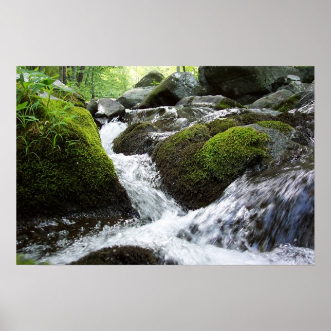 Moss Falls Poster (Front)