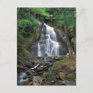 Moss Glen Falls Green Mountains Vermont Postcard