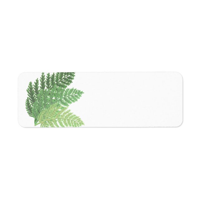 Moss Green Fern Return Address Label (Front)