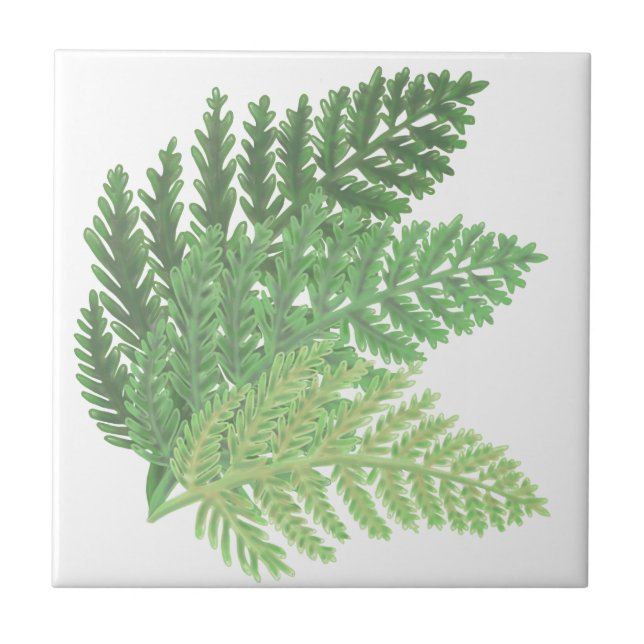 Moss Green Fern Tile (Front)