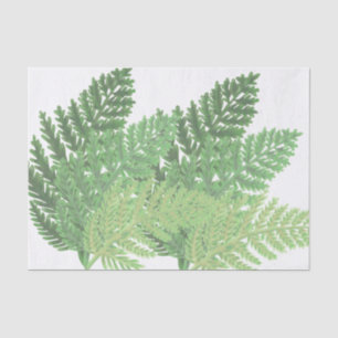 Moss Green Fern Tissue Paper