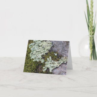 Moss & Lichen Notecard