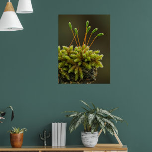 Moss motif poster