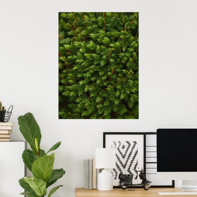 Moss motif poster (Home Office)