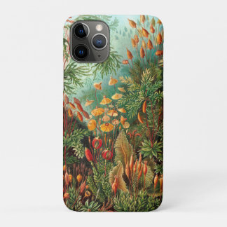Moss (Muscinae) by Haeckel iPhone 11 Pro Case