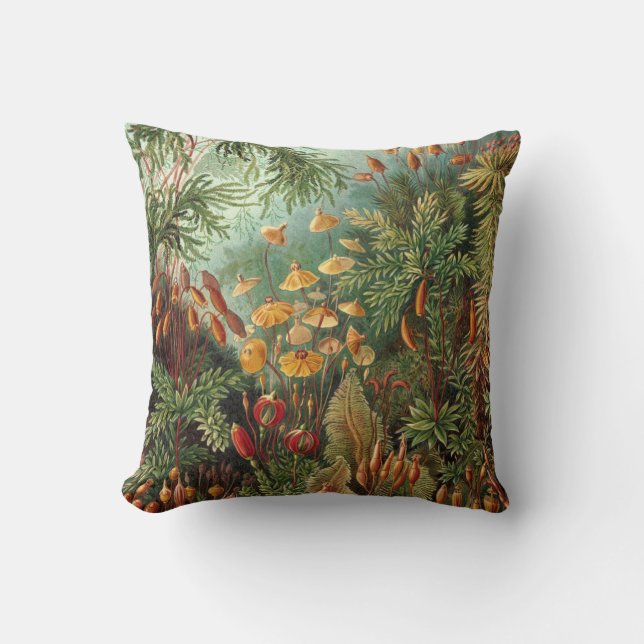 Moss (Muscinae) by Haeckel Cushion (Front)
