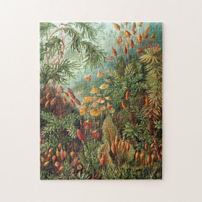 Moss (Muscinae) by Haeckel Jigsaw Puzzle (Vertical)
