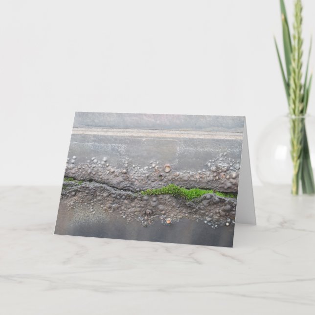 "Moss" Note Card (Front)