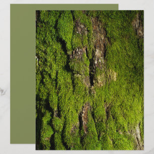 Moss on tree bark scrapbook paper