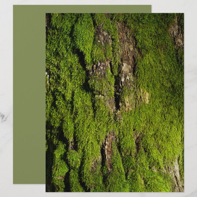 Moss on tree bark scrapbook paper (Front/Back)