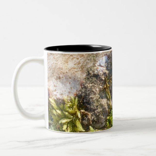 Moss Rock Mug  (Left)