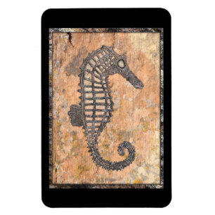 Moss Rock Sea Horse Talking Canyons, New Mexico Magnet