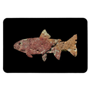 Moss Rock Trout Magnet