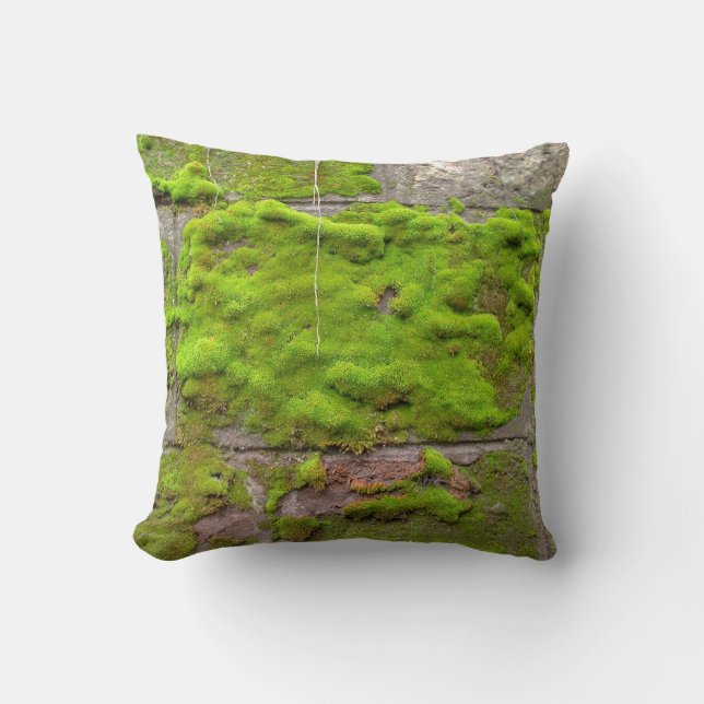 Moss wall green rock texture cushion (Front)