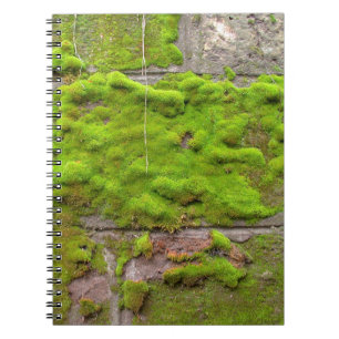 Moss wall green rock texture notebook